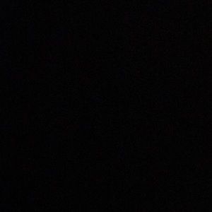 Meet your Posher, Chandler